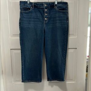 Stylish Blue Denim Capris